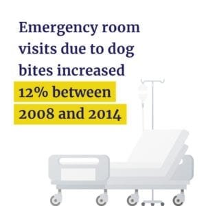 ER visits from dog bites increased 12% from 2008 - 2014