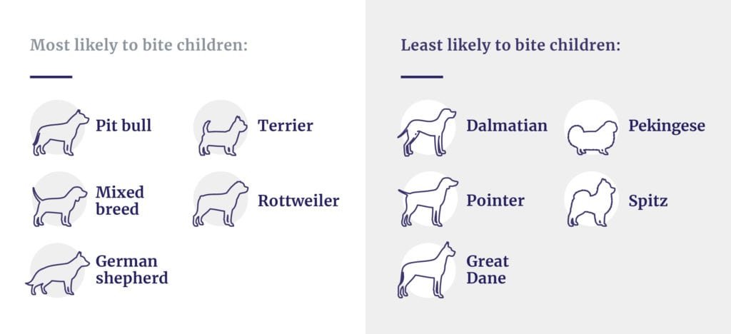 Dog breeds likely to bite children