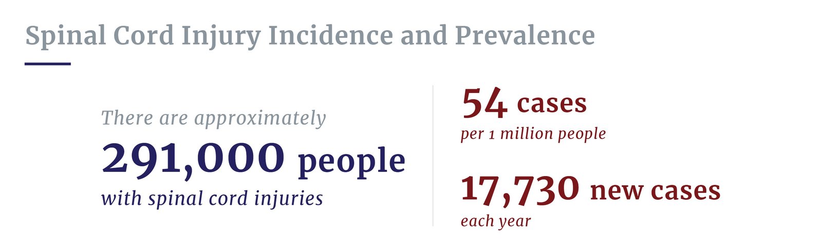 Spinal cord injury prevalence